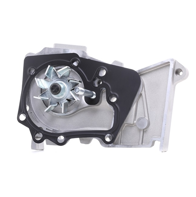 Renault Logan Engine Water Pump (210101302R)