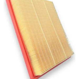 MG 5 Air Filter High Efficiency (10488977)